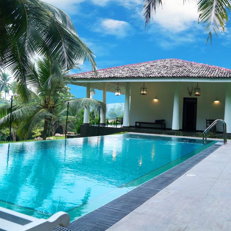 To Pool or Not to Pool banner - Cozie homes